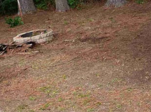 Cleanups by Royce Jenkins for Drue S. in Hampton, VA