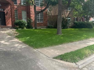Holly H.'s Lawn Mowing Service service result