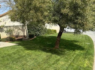 Kevin G.'s Yard Cutting service result