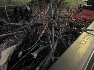 Cleanups by Matthew Garcia for Janine S. in Independence, MO