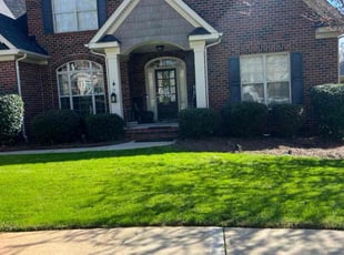 Jeri V.'s Lawn Mowing service result