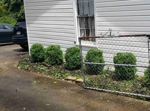 Bush Trimming by Bryan Osment for Nancy R. in Taylors, SC