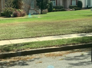 Leaf Removal by Daniel Castellanos for Leslie . in Memphis, TN