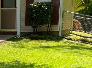 Bush Trimming by Adam Craft for Andreus A. in Baton Rouge, LA