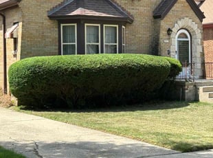 Bush Trimming by Michael Williams for Pam W. in Milwaukee, WI