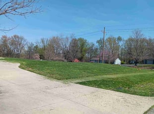 Frank F.'s Lawn Mowing Service service result