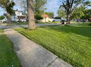Morreece E.'s Lawn Service service result