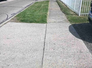 Ryan B.'s Lawn Mowing Service service result