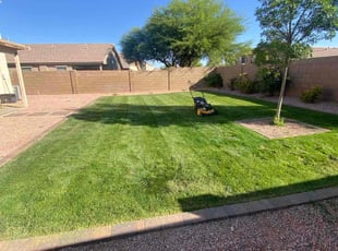 Bush Trimming by Sampson Macias for Aaron O. in Goodyear, AZ