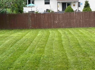 Johnny M.'s Lawn Care service result