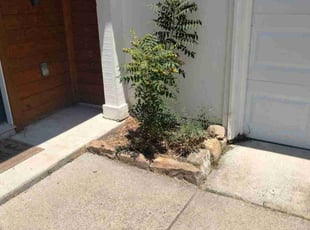 Weeding by Jonathan Zavala for Amanda R. in Fort Worth, TX