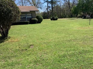 Kelley B.'s Lawn Maintenance service result