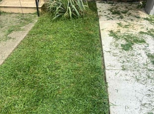 Weeding by Mariah Mercado for Robert D. in Wilmington, DE