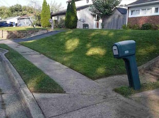 Craig B.'s Lawn Mowing service result
