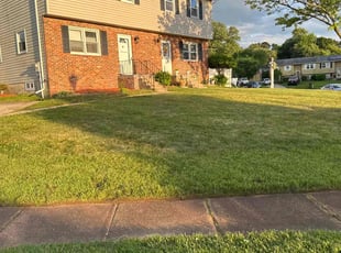 Malique B.'s Lawn Mowing service result