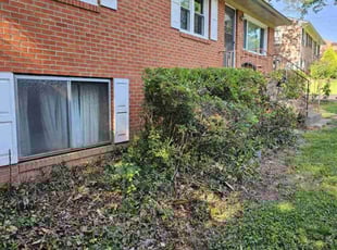 Bush Trimming by Rose Valle for Ashley L. in Manassas, VA