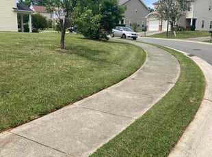 James H.'s Lawn Maintenance service result