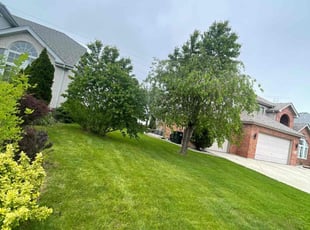 Jamell B.'s Yard Cutting service result