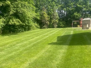 Kathy W.'s Lawn Mowing service result