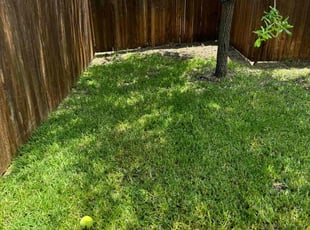 Genee S.'s Lawn Service service result
