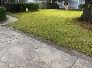Cindi M.'s Lawn Mowing service result