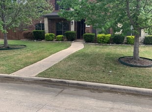 Weeding by LaShae Peters for Ramon M. in Fort Worth, TX