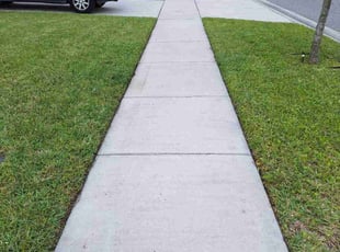 Chyna L.'s Yard Cutting service result