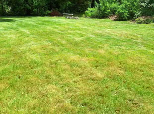 Kenneth S.'s Lawn Mowing Service service result