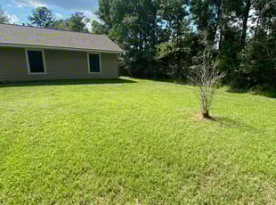Mel B.'s Lawn Care service result