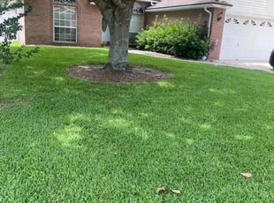 Peter v.'s Lawn Service service result