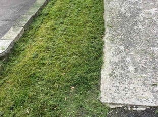 Anthony D.'s Lawn Care service result