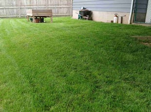 Sara M.'s Lawn Care service result