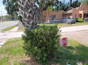 Bush Trimming by Jeanie Brundage for Kenneth L. in Daytona Beach, FL