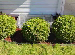 Mulching by Dontrell Hood for Josephine G. in Shorewood, WI