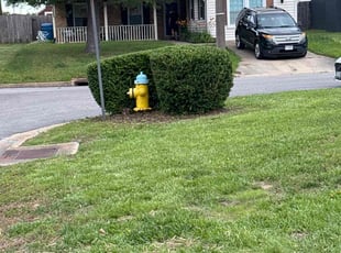 Bush Trimming by Steven Moreira for Daniel K. in Virginia Beach, VA