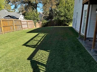 Courtney I.'s Lawn Care service result