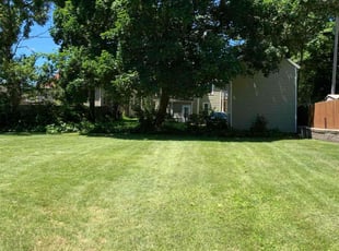 Zy'Aire K.'s Lawn Service service result