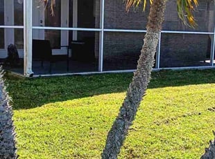 Erica E.'s Lawn Service service result