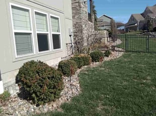 Bush Trimming by Julio Almestica for Bella B. in Lee's Summit, MO