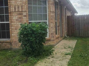 Bush Trimming by Teshna Esparza for Iesha G. in Fort Worth, TX