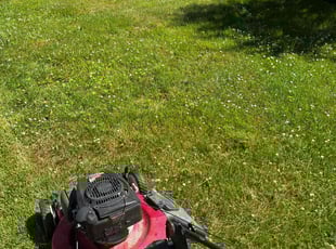 Melee L.'s Lawn Care service result