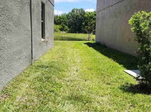 Juana W.'s Lawn Service service result