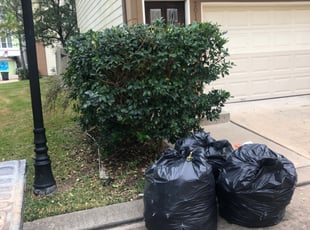 Bush Trimming by Derrick Koontz for Sui Z. in Houston, TX
