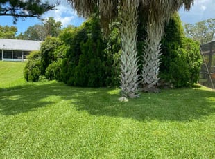 Renee C.'s Lawn Care service result