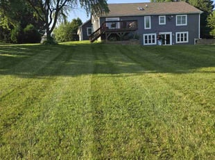 Shiloh F.'s Lawn Service service result