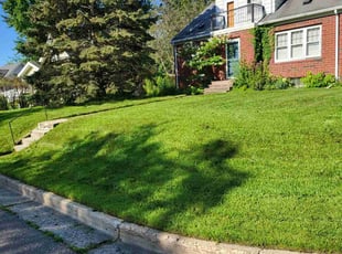 Mary W.'s Lawn Mowing service result