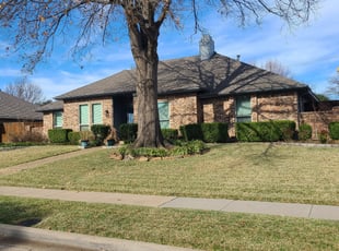 Cleanups by Macey Wheeler for Zane H. in Plano, TX