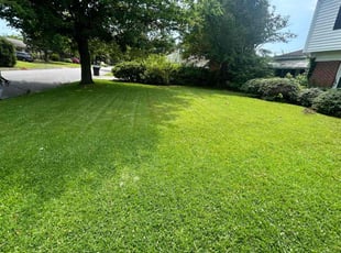 Debra J.'s Lawn Service service result