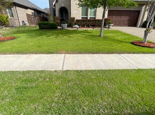 Candace C.'s Grass Cutting service result