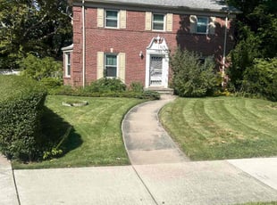 Terrance N.'s Lawn Care service result